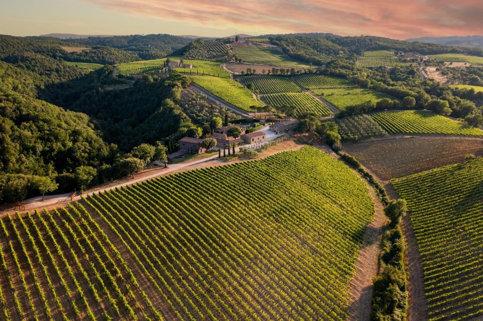 Tenuta San Filippo Montalcino Exteriér fotografie