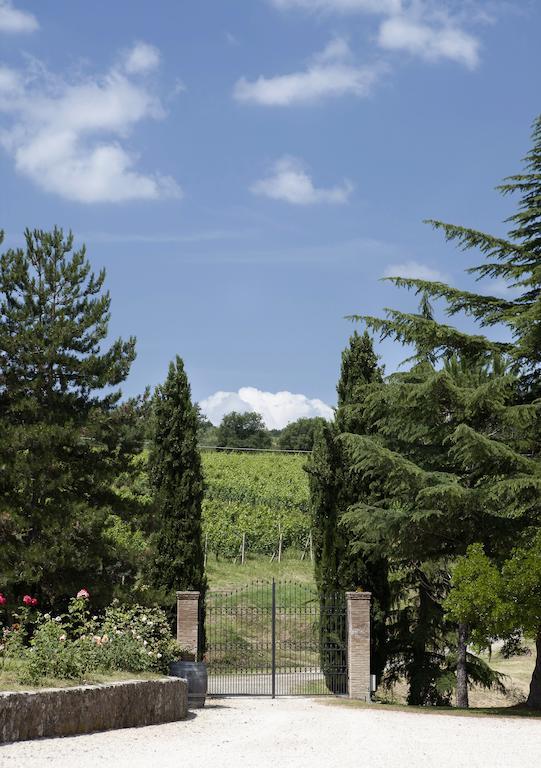 Tenuta San Filippo Montalcino Exteriér fotografie