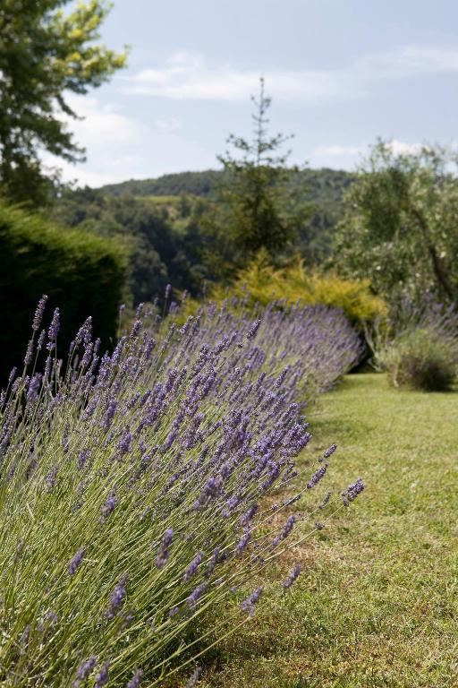 Tenuta San Filippo Montalcino Exteriér fotografie
